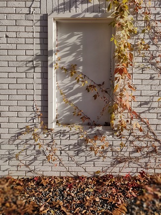 f:id:rico_log:20191109052638j:plain f:id:rico_log:20191109052638j:plain