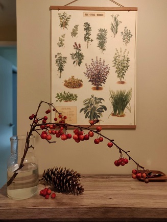 f:id:rico_log:20191109052715j:plain f:id:rico_log:20191109052715j:plain