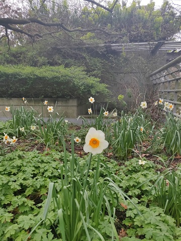 f:id:rico_log:20200331125045j:plain