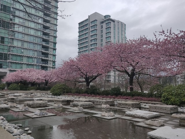 f:id:rico_log:20200331130417j:image