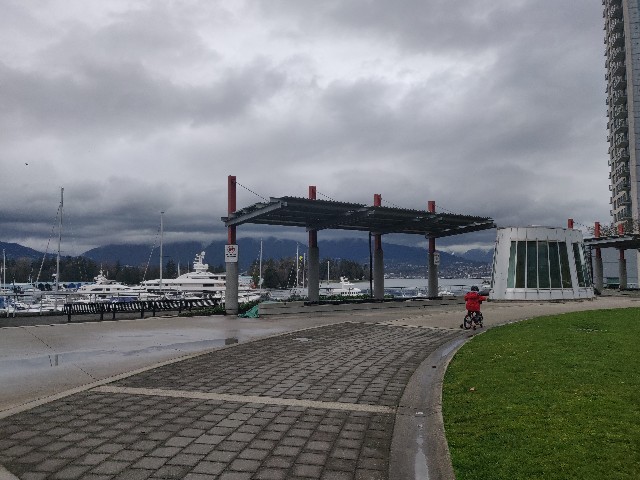 f:id:rico_log:20200331130437j:image