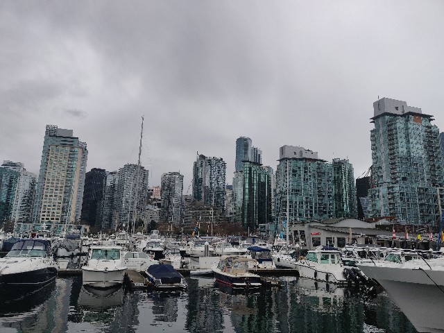 f:id:rico_log:20200331130544j:image