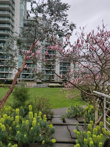 f:id:rico_log:20200331132607j:plain