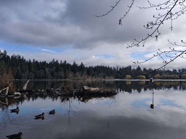 f:id:rico_log:20200402024430j:image