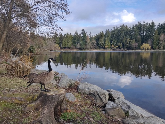 f:id:rico_log:20200402024457j:image