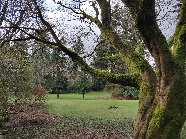 f:id:rico_log:20200402024643j:image