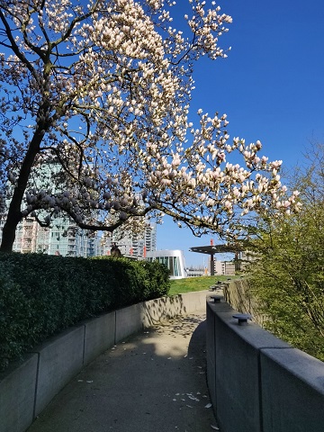 f:id:rico_log:20200416022335j:plain