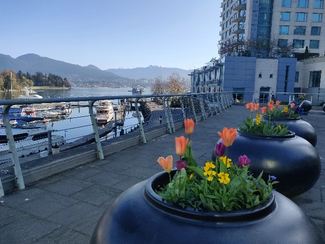 f:id:rico_log:20200416023744j:image