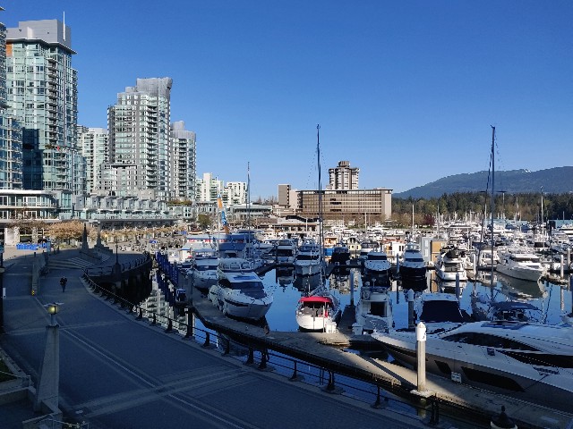 f:id:rico_log:20200416023804j:image