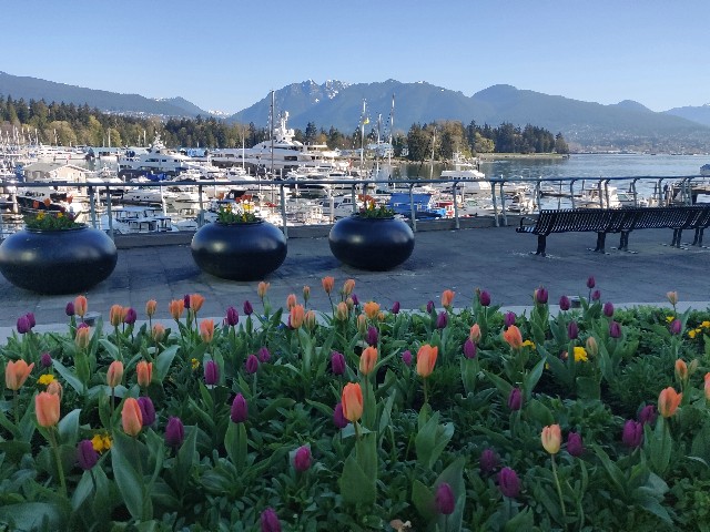 f:id:rico_log:20200416023822j:image