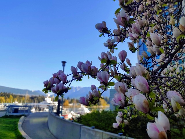 f:id:rico_log:20200416023850j:image