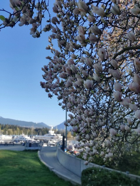 f:id:rico_log:20200416023921j:image