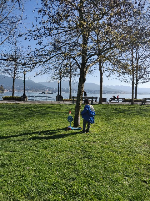 f:id:rico_log:20200416023943j:image