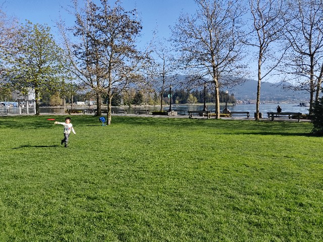 f:id:rico_log:20200416023956j:image