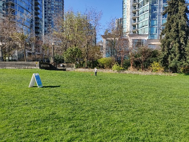 f:id:rico_log:20200416024020j:image