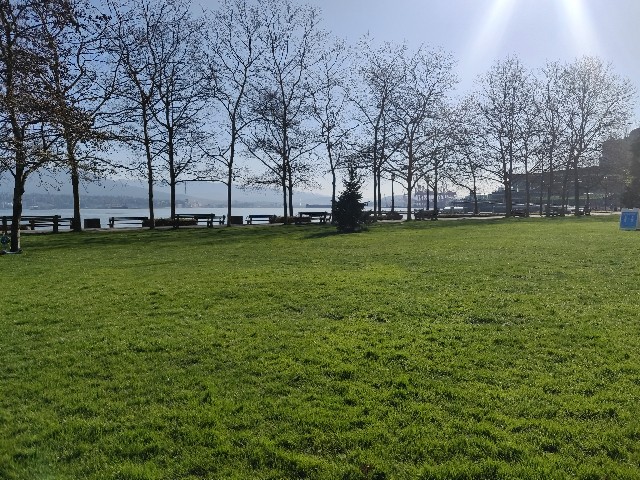 f:id:rico_log:20200416024116j:image