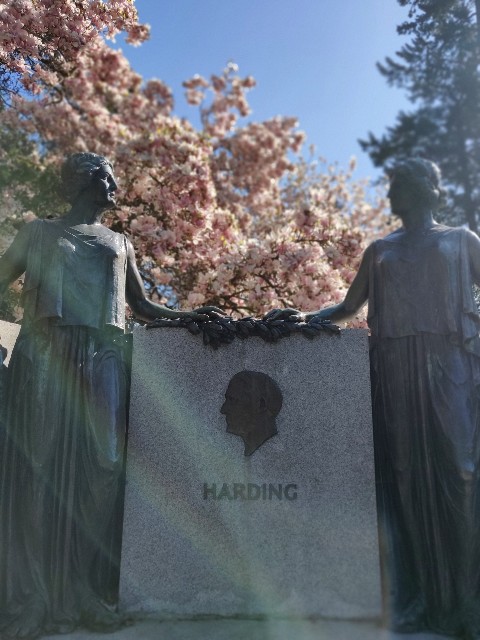 f:id:rico_log:20200417033351j:image