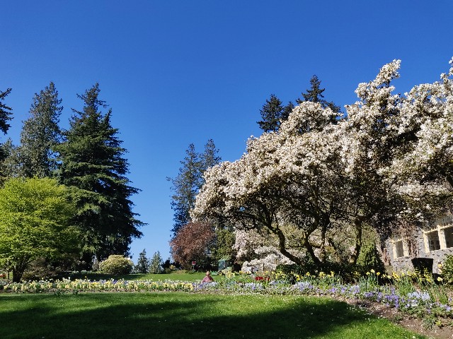 f:id:rico_log:20200417033643j:image