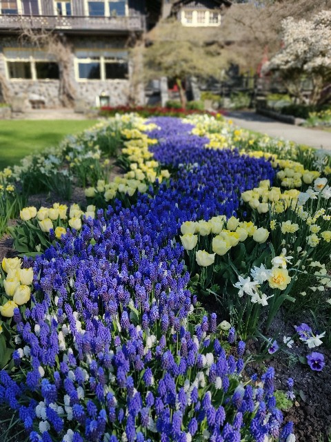 f:id:rico_log:20200417033722j:image