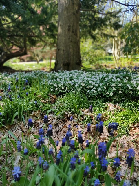 f:id:rico_log:20200417033832j:image