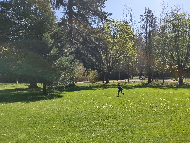 f:id:rico_log:20200417033846j:image