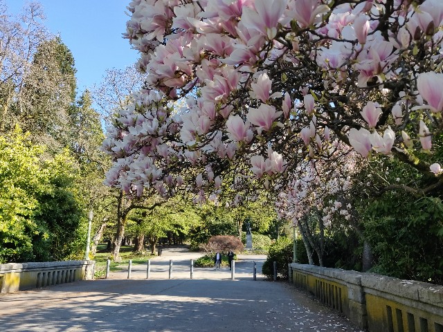 f:id:rico_log:20200417033938j:image