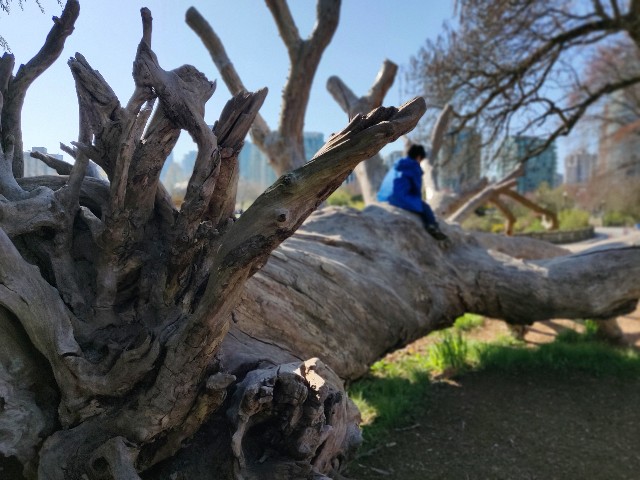 f:id:rico_log:20200417034150j:image