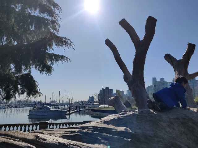 f:id:rico_log:20200417034218j:image