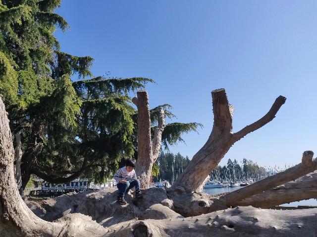 f:id:rico_log:20200417034254j:image