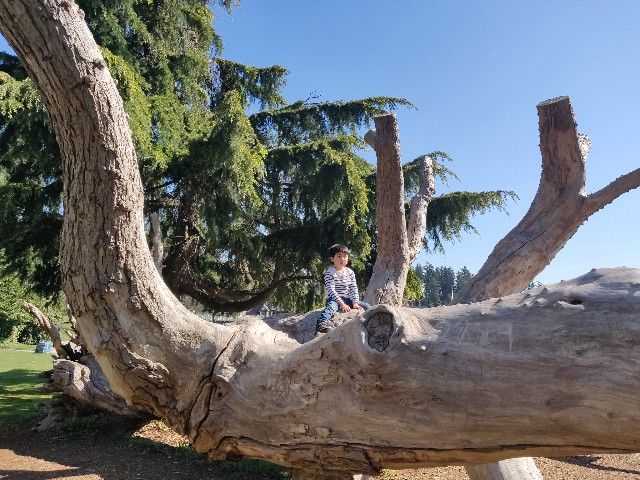 f:id:rico_log:20200417034307j:image