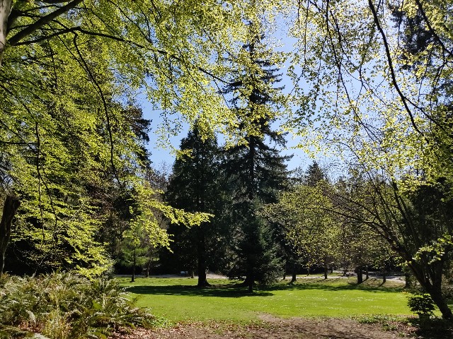 f:id:rico_log:20200417034352j:image