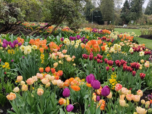 f:id:rico_log:20200424032911j:image