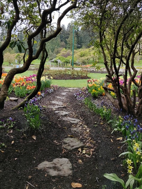 f:id:rico_log:20200424032937j:image