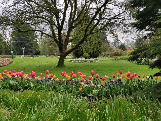 f:id:rico_log:20200424032959j:image