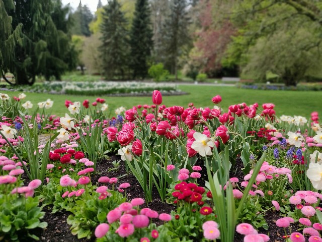 f:id:rico_log:20200424033033j:image