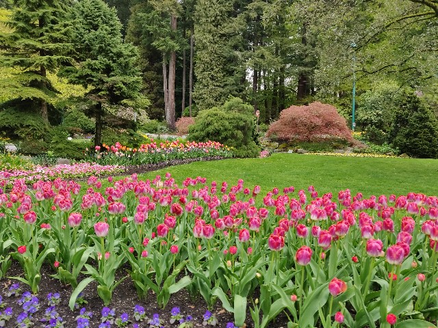 f:id:rico_log:20200424033057j:image