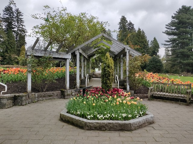 f:id:rico_log:20200424033108j:image