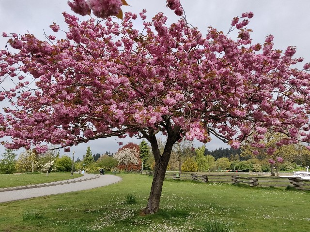 f:id:rico_log:20200424033144j:image