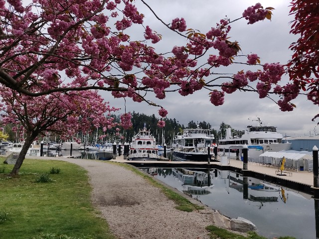 f:id:rico_log:20200424033155j:image