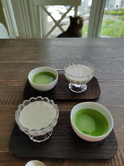 f:id:rico_log:20200521070032j:image f:id:rico_log:20200521070032j:image