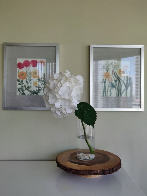 f:id:rico_log:20200629130524j:image