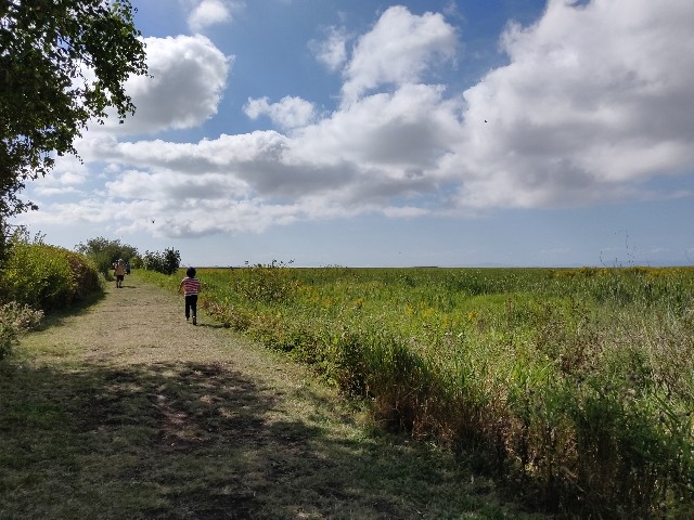 f:id:rico_log:20200831054755j:image