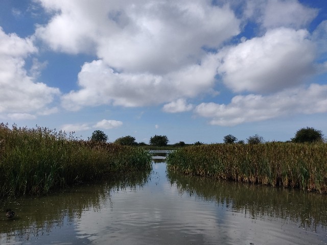 f:id:rico_log:20200831054820j:image