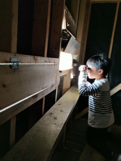 f:id:rico_log:20200831054832j:image