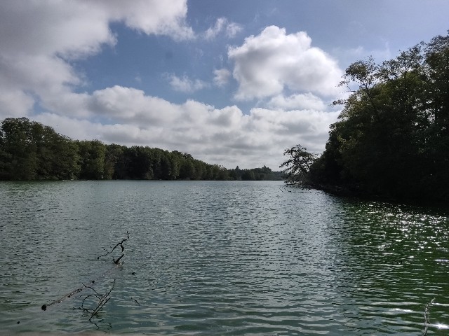 f:id:rico_log:20200831054842j:image