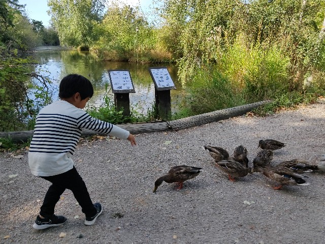 f:id:rico_log:20200831054857j:image