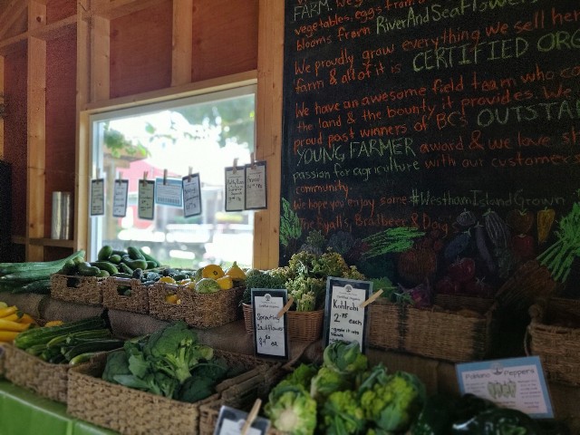 f:id:rico_log:20200831055012j:image