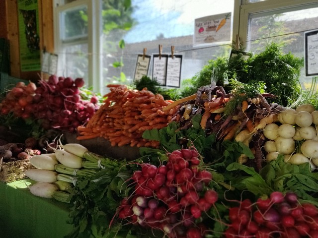 f:id:rico_log:20200831055023j:image