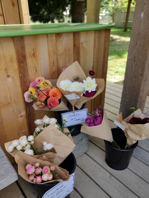 f:id:rico_log:20200831055040j:image