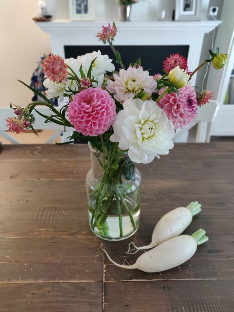 f:id:rico_log:20200831055101j:image